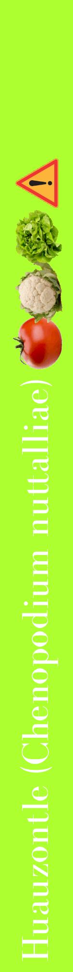 Étiquette de : Chenopodium nuttalliae - format a - style blanche17bod avec comestibilité simplifiée