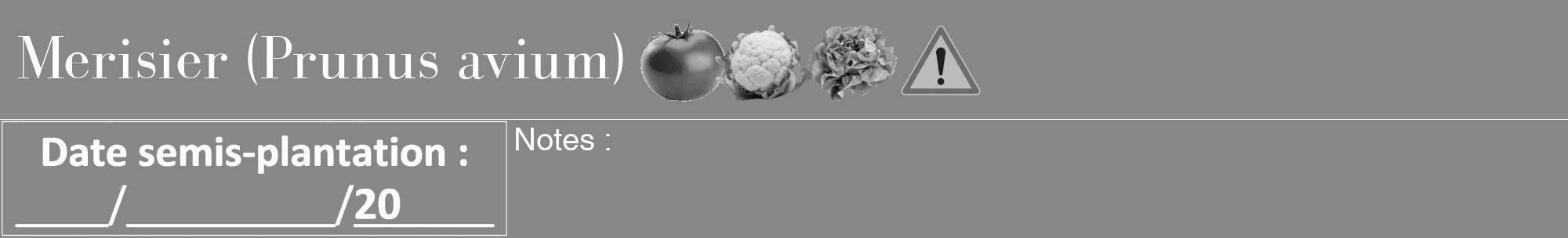 Étiquette de : Prunus avium - format a - style blanche12bod avec comestibilité simplifiée