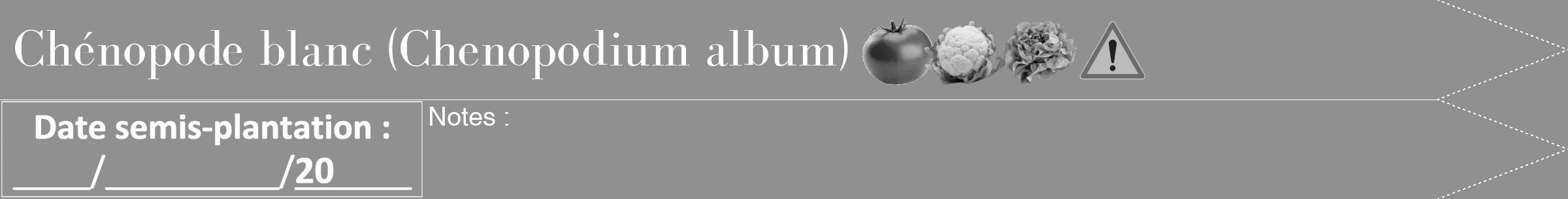 Étiquette de : Chenopodium album - format b - style blanche4bod avec comestibilité simplifiée
