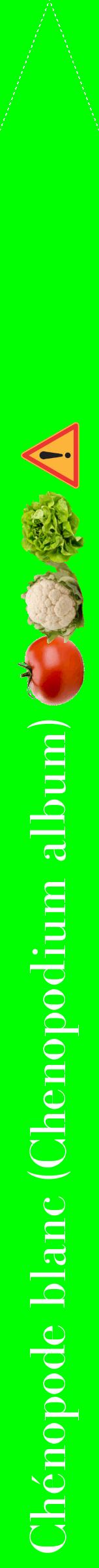 Étiquette de : Chenopodium album - format b - style blanche16bod avec comestibilité simplifiée
