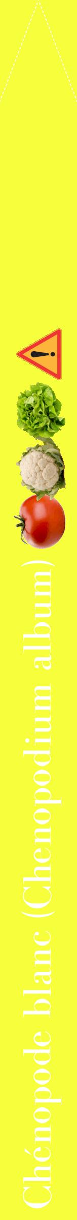 Étiquette de : Chenopodium album - format b - style blanche18bod avec comestibilité simplifiée