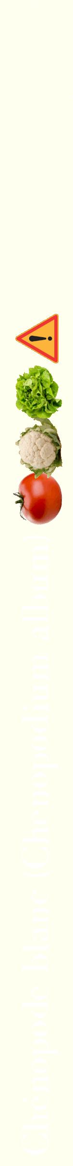 Étiquette de : Chenopodium album - format b - style blanche19bod avec comestibilité simplifiée
