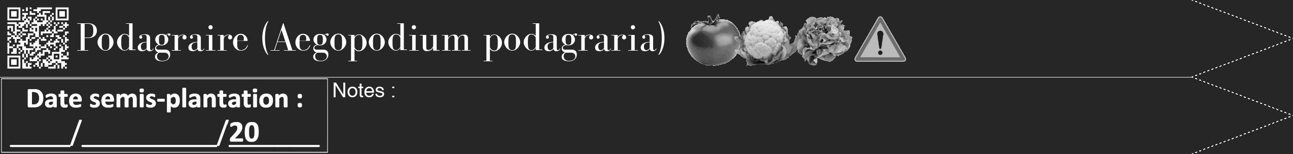 Étiquette de : Aegopodium podagraria - format b - style blanche29bod avec qrcode et comestibilité simplifiée
