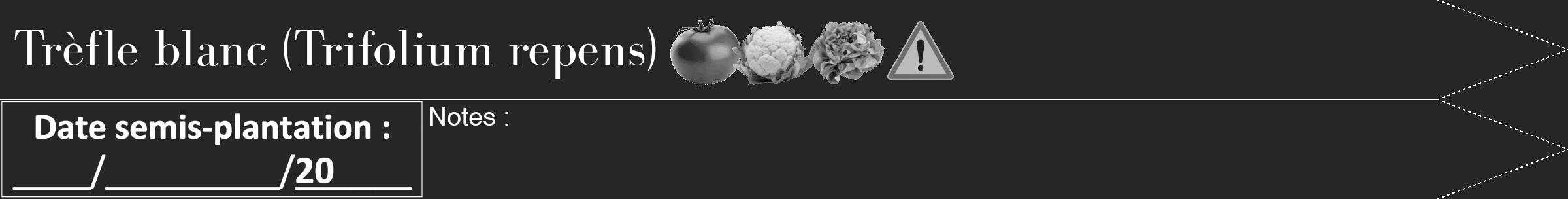 Étiquette de : Trifolium repens - format b - style blanche29bod avec comestibilité simplifiée
