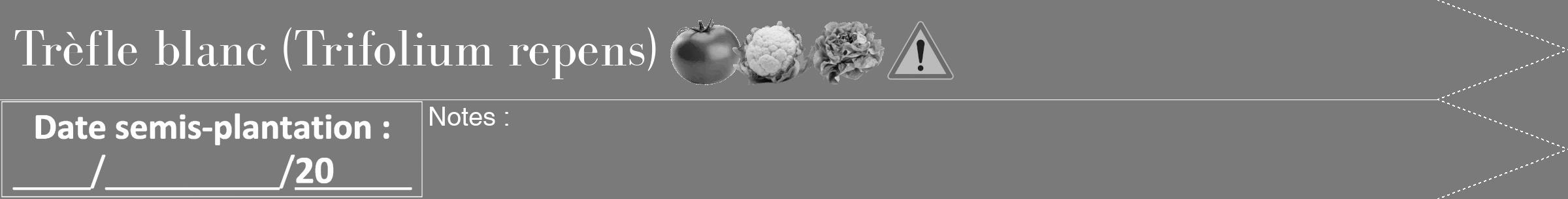 Étiquette de : Trifolium repens - format b - style blanche3bod avec comestibilité simplifiée