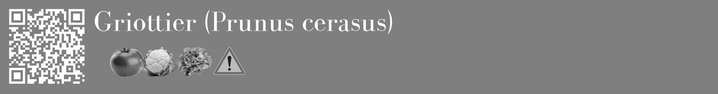 Étiquette de : Prunus cerasus - format c - style blanche31_basique_basiquebod avec qrcode et comestibilité simplifiée