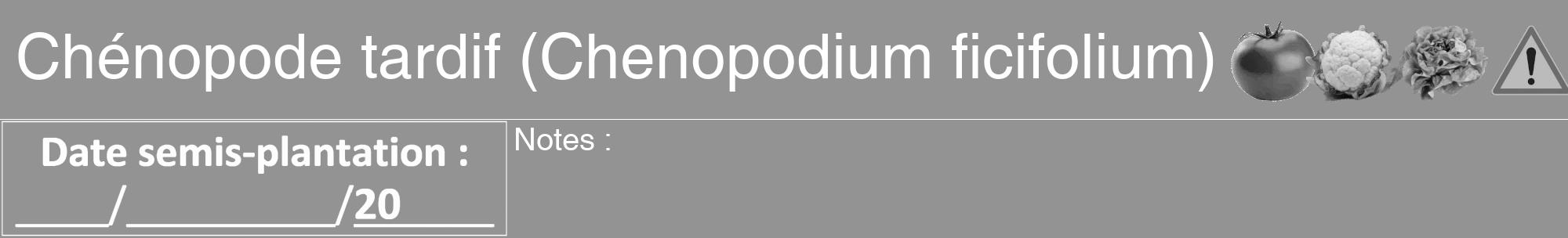 Étiquette de : Chenopodium ficifolium - format a - style blanche44hel avec comestibilité simplifiée