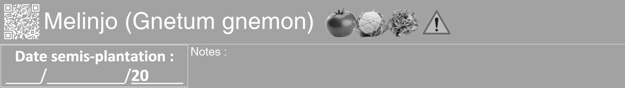 Étiquette de : Gnetum gnemon - format a - style blanche38hel avec qrcode et comestibilité simplifiée