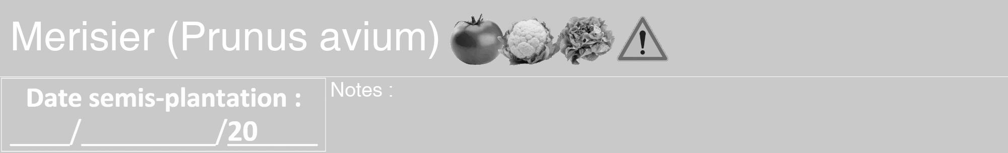 Étiquette de : Prunus avium - format a - style blanche54hel avec comestibilité simplifiée