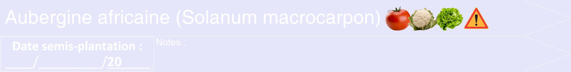 Étiquette de : Solanum macrocarpon - format b - style blanche55hel avec comestibilité simplifiée