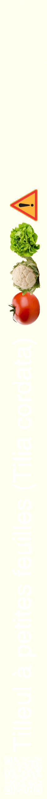 Étiquette de : Tilia cordata - format b - style blanche19hel avec qrcode et comestibilité simplifiée