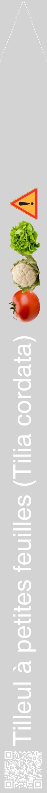 Étiquette de : Tilia cordata - format b - style blanche56hel avec qrcode et comestibilité simplifiée