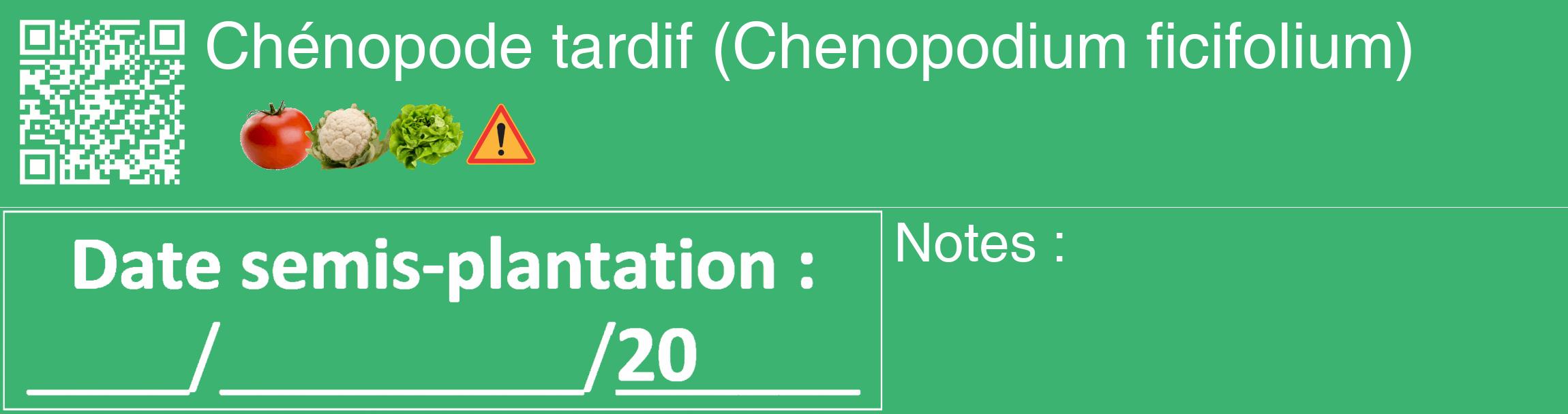Étiquette de : Chenopodium ficifolium - format c - style blanche12_basique_basiquehel avec qrcode et comestibilité simplifiée