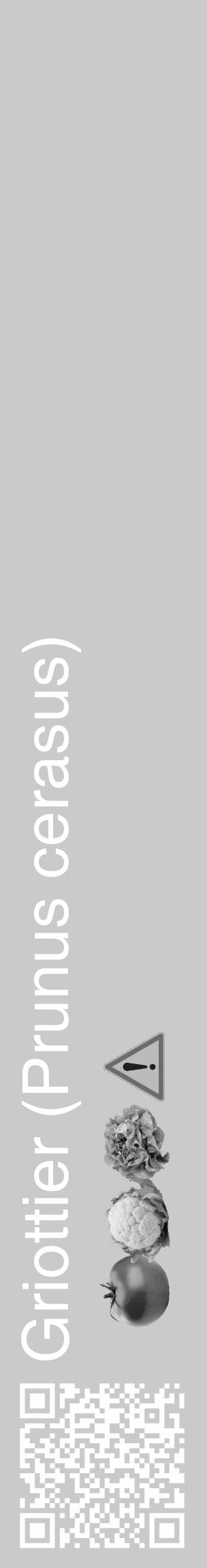 Étiquette de : Prunus cerasus - format c - style blanche21_basique_basiquehel avec qrcode et comestibilité simplifiée - position verticale