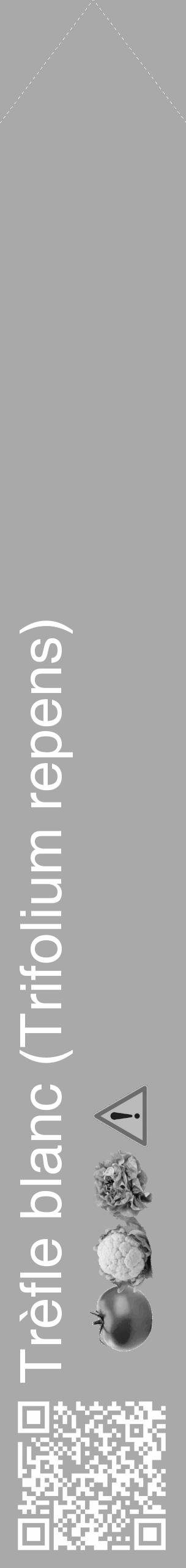 Étiquette de : Trifolium repens - format c - style blanche13_simple_simplehel avec qrcode et comestibilité simplifiée - position verticale