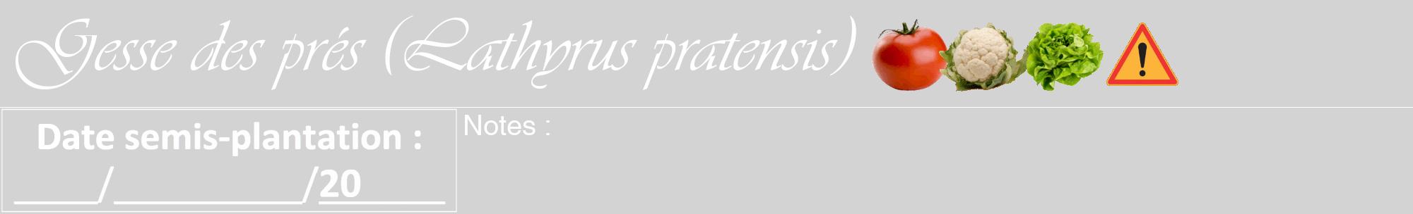 Étiquette de : Lathyrus pratensis - format a - style blanche56viv avec comestibilité simplifiée