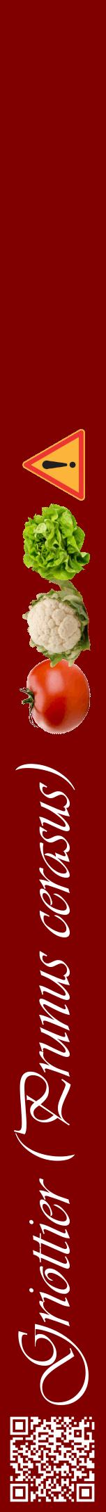 Étiquette de : Prunus cerasus - format a - style blanche29viv avec qrcode et comestibilité simplifiée
