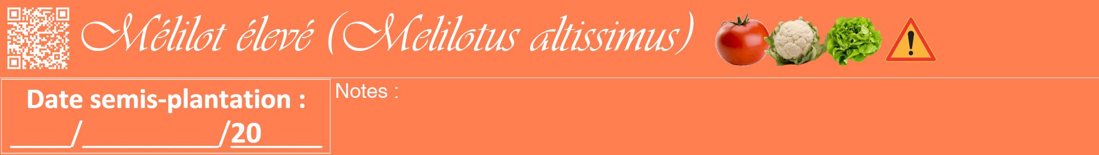 Étiquette de : Melilotus altissimus - format a - style blanche24viv avec qrcode et comestibilité simplifiée