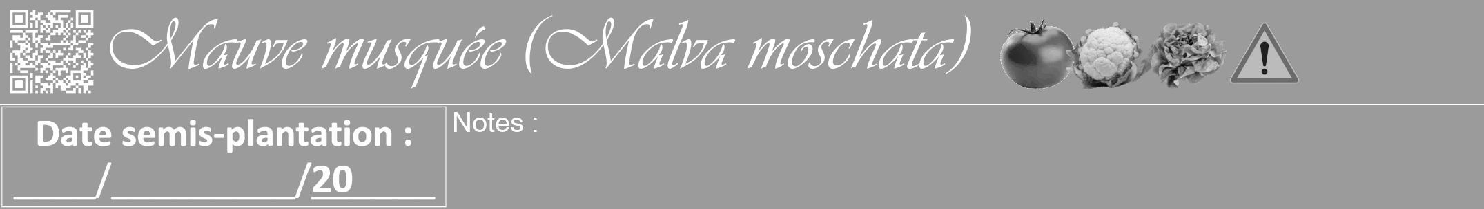 Étiquette de : Malva moschata - format a - style blanche52viv avec qrcode et comestibilité simplifiée