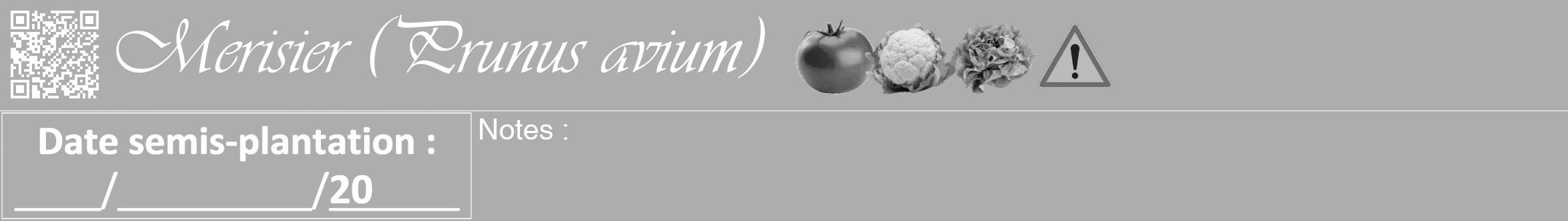 Étiquette de : Prunus avium - format a - style blanche22viv avec qrcode et comestibilité simplifiée