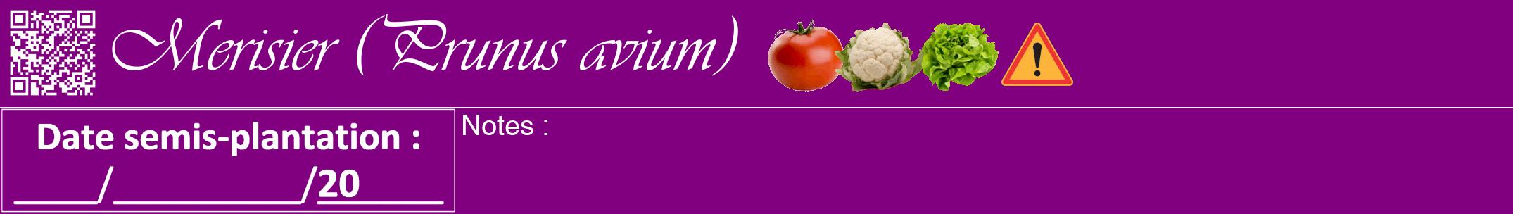 Étiquette de : Prunus avium - format a - style blanche46viv avec qrcode et comestibilité simplifiée