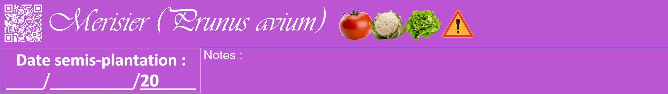 Étiquette de : Prunus avium - format a - style blanche50viv avec qrcode et comestibilité simplifiée