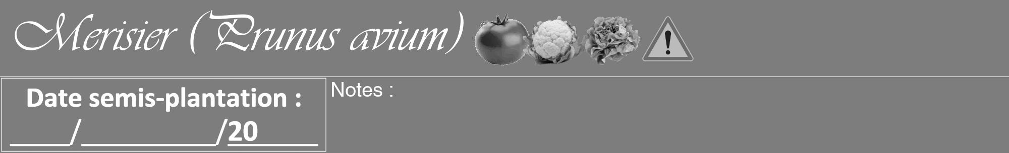 Étiquette de : Prunus avium - format a - style blanche35viv avec comestibilité simplifiée