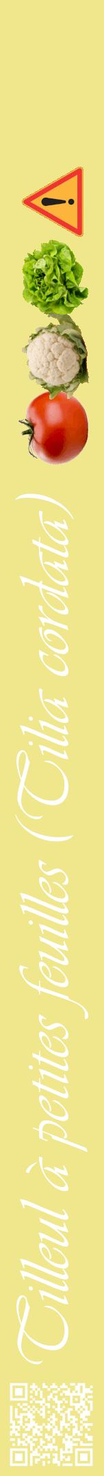 Étiquette de : Tilia cordata - format a - style blanche20viv avec qrcode et comestibilité simplifiée