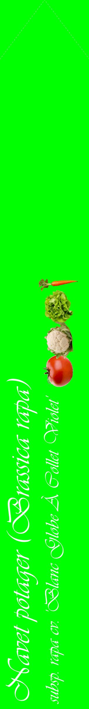 Étiquette de : Brassica rapa subsp. rapa cv. 'Blanc Globe À Collet Violet' - format c - style blanche16_simpleviv avec comestibilité simplifiée