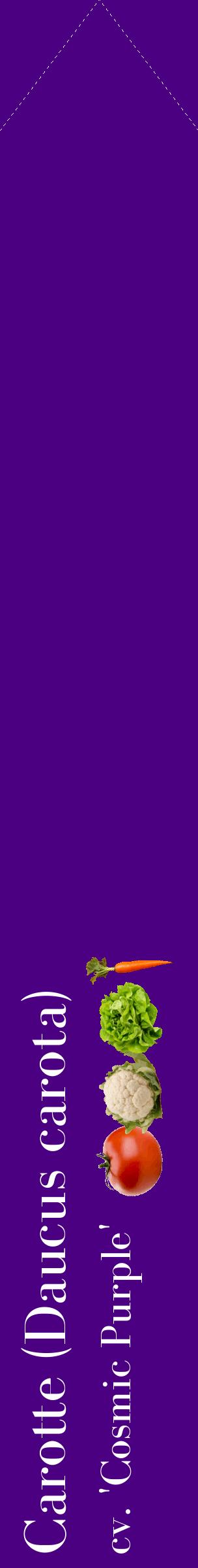 Étiquette de : Daucus carota cv. 'Cosmic Purple' - format c - style blanche47_simplebod avec comestibilité simplifiée