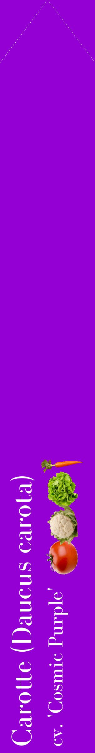 Étiquette de : Daucus carota cv. 'Cosmic Purple' - format c - style blanche48_simplebod avec comestibilité simplifiée