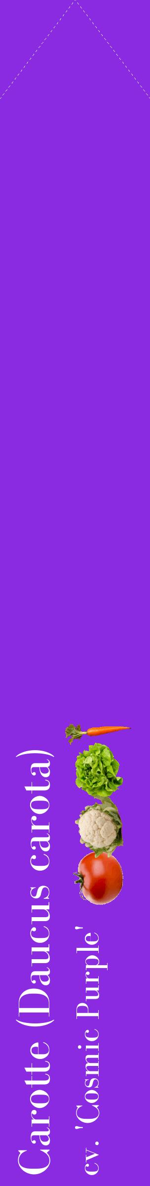 Étiquette de : Daucus carota cv. 'Cosmic Purple' - format c - style blanche49_simplebod avec comestibilité simplifiée