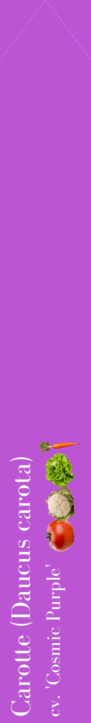 Étiquette de : Daucus carota cv. 'Cosmic Purple' - format c - style blanche50_simplebod avec comestibilité simplifiée