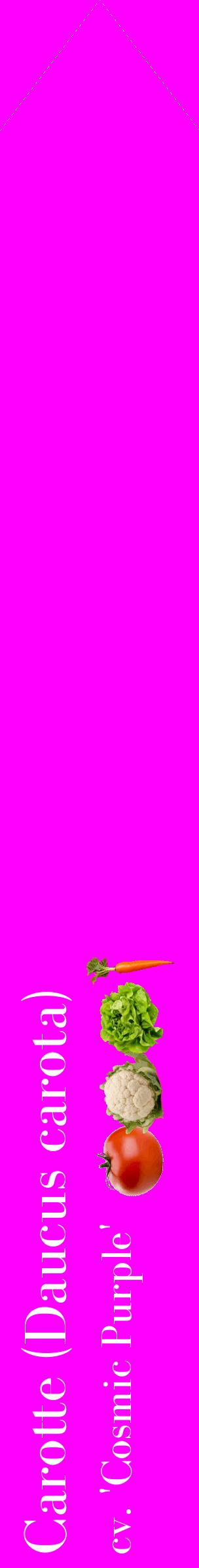 Étiquette de : Daucus carota cv. 'Cosmic Purple' - format c - style blanche51_simplebod avec comestibilité simplifiée