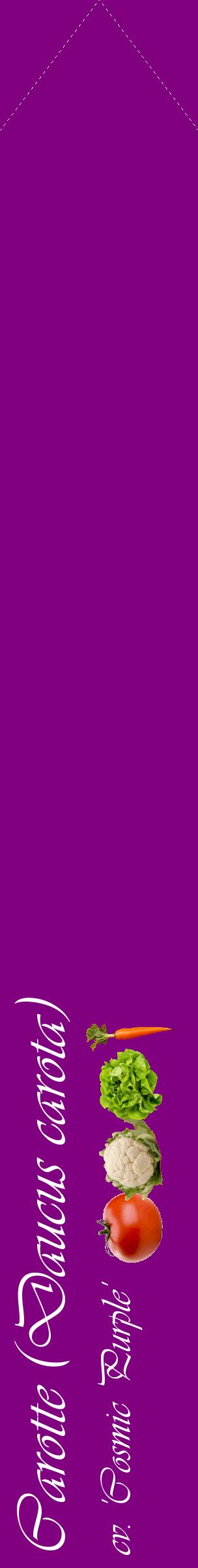 Étiquette de : Daucus carota cv. 'Cosmic Purple' - format c - style blanche46_simpleviv avec comestibilité simplifiée