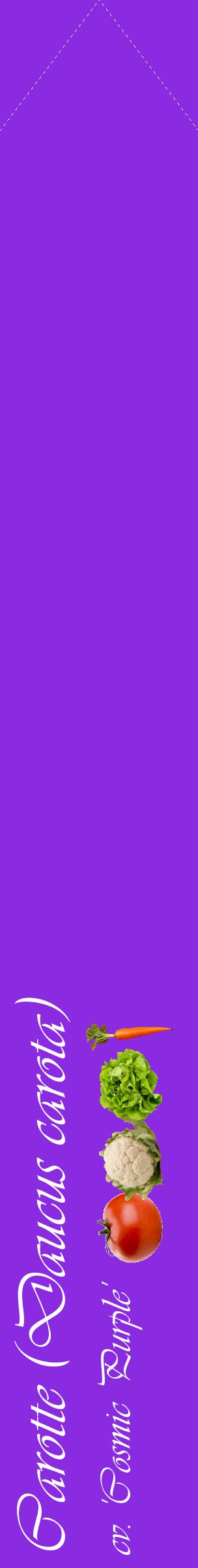 Étiquette de : Daucus carota cv. 'Cosmic Purple' - format c - style blanche49_simpleviv avec comestibilité simplifiée