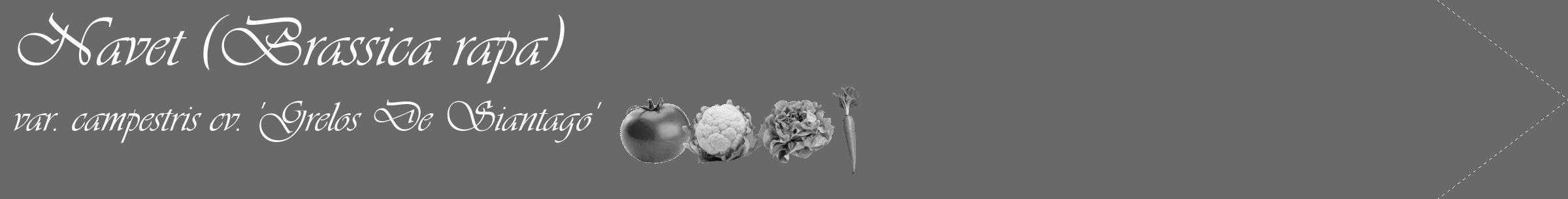 Étiquette de : Brassica rapa var. campestris cv. 'Grelos De Siantago' - format c - style blanche51_simple_simpleviv avec comestibilité simplifiée
