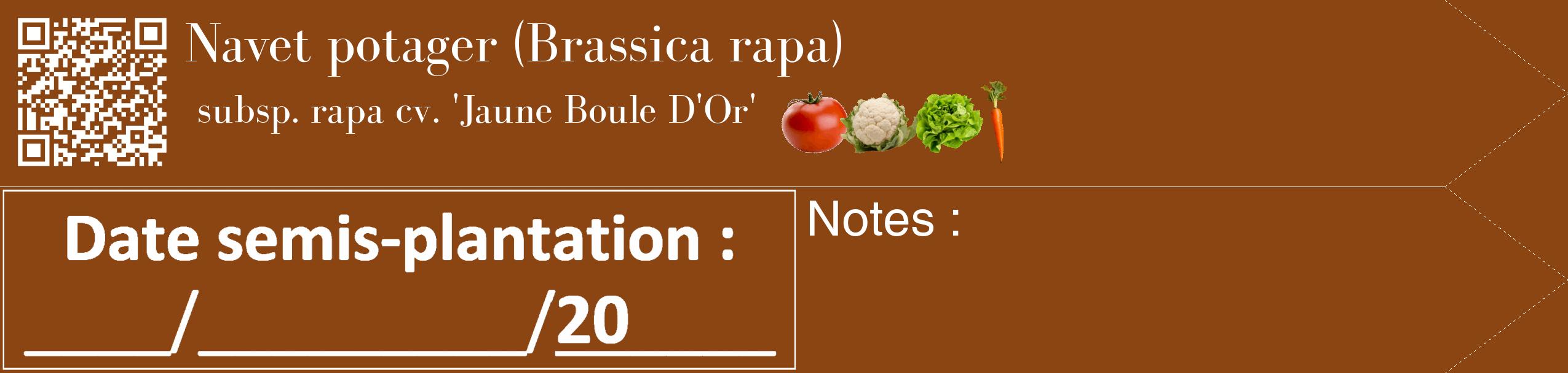 Étiquette de : Brassica rapa subsp. rapa cv. 'Jaune Boule D'Or' - format c - style blanche30_simple_simplebod avec qrcode et comestibilité simplifiée