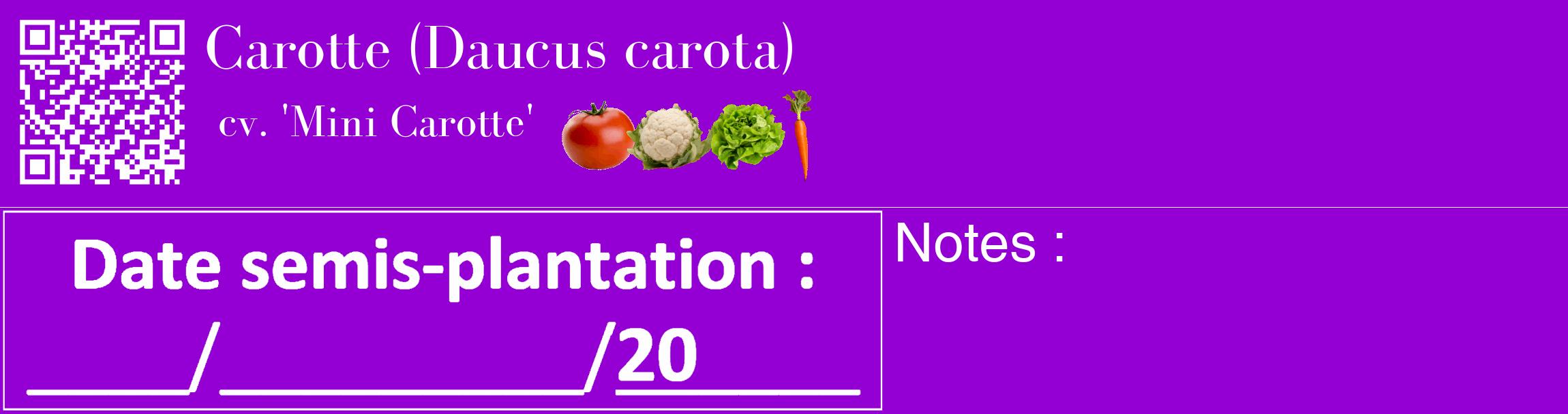 Étiquette de : Daucus carota cv. 'Mini Carotte' - format c - style blanche48_basique_basiquebod avec qrcode et comestibilité simplifiée