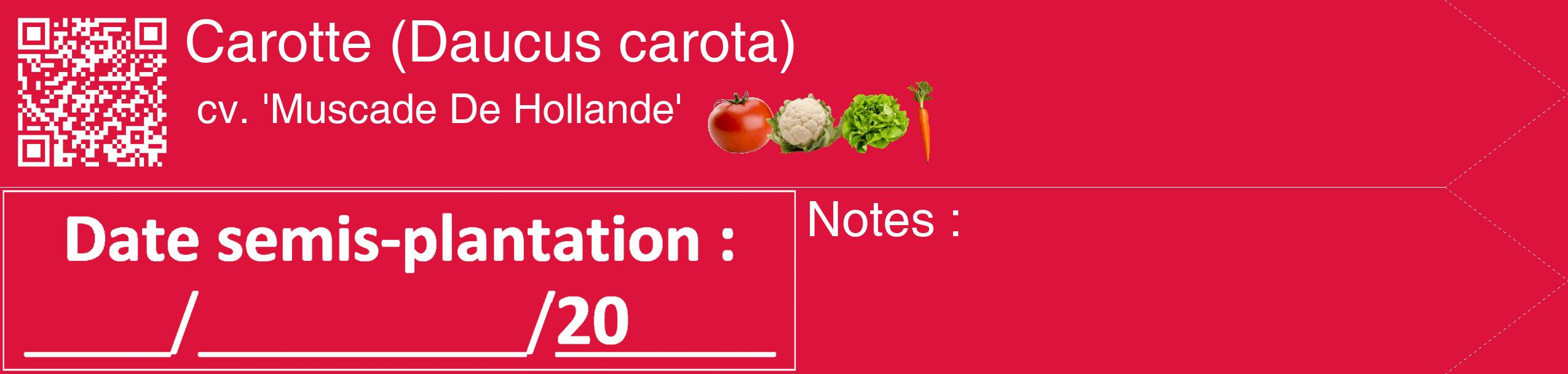 Étiquette de : Daucus carota cv. 'Muscade De Hollande' - format c - style blanche36_simple_simplehel avec qrcode et comestibilité simplifiée
