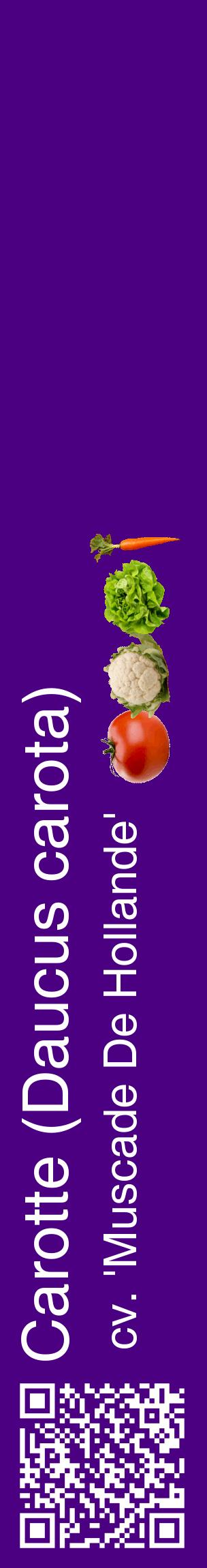 Étiquette de : Daucus carota cv. 'Muscade De Hollande' - format c - style blanche47_basiquehel avec qrcode et comestibilité simplifiée