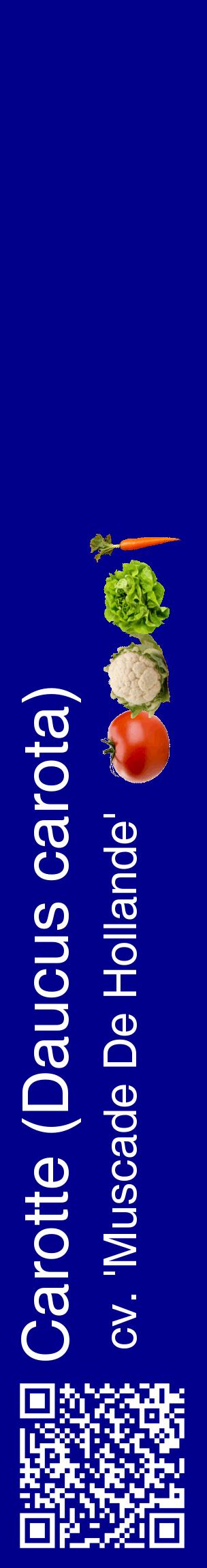 Étiquette de : Daucus carota cv. 'Muscade De Hollande' - format c - style blanche7_basiquehel avec qrcode et comestibilité simplifiée