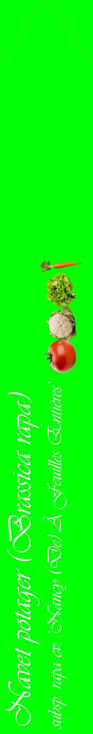 Étiquette de : Brassica rapa subsp. rapa cv. 'Nancy (De) À Feuilles Entières' - format c - style blanche16_simpleviv avec comestibilité simplifiée