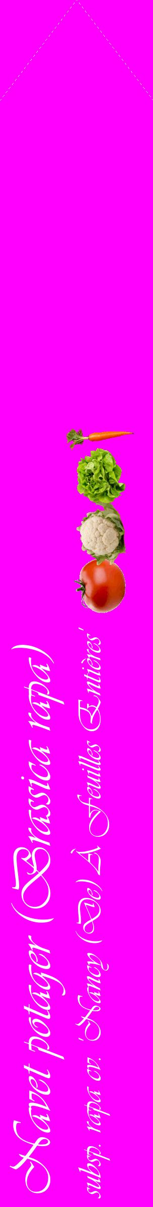 Étiquette de : Brassica rapa subsp. rapa cv. 'Nancy (De) À Feuilles Entières' - format c - style blanche51_simpleviv avec comestibilité simplifiée