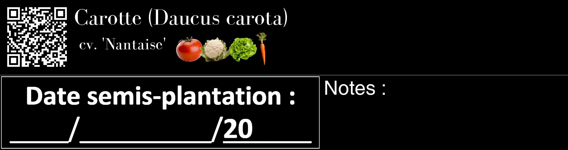 Étiquette de : Daucus carota cv. 'Nantaise' - format c - style blanche59_basique_basiquebod avec qrcode et comestibilité simplifiée