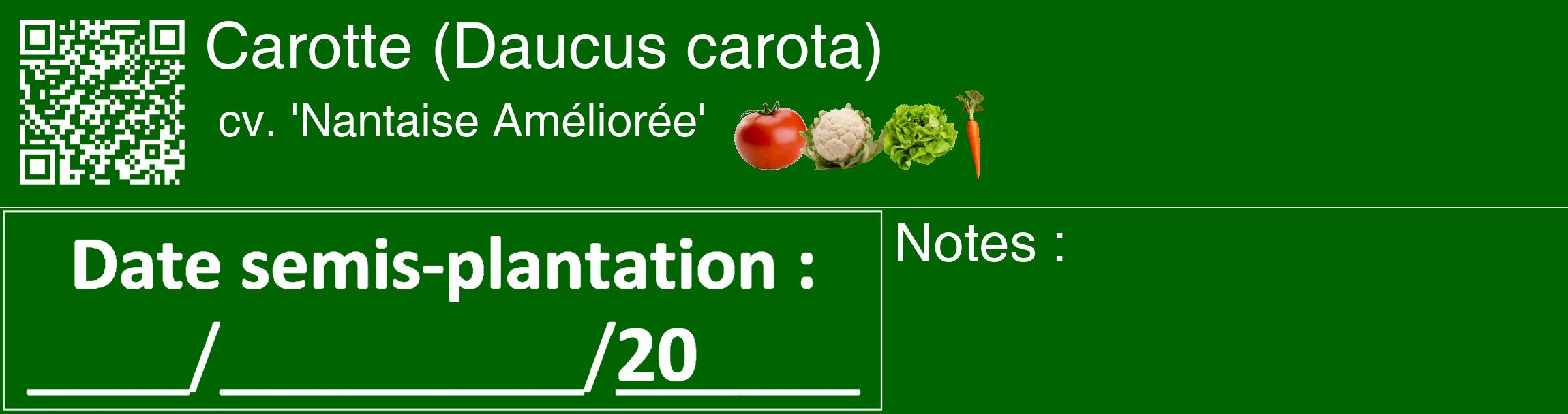 Étiquette de : Daucus carota cv. 'Nantaise Améliorée' - format c - style blanche8_basique_basiquehel avec qrcode et comestibilité simplifiée