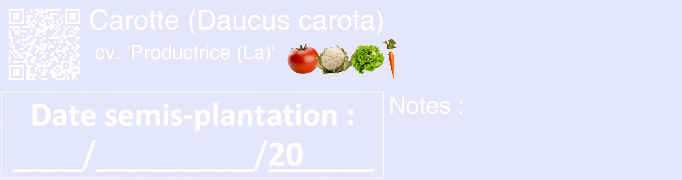 Étiquette de : Daucus carota cv. 'Productrice (La)' - format c - style blanche55_basique_basiquehel avec qrcode et comestibilité simplifiée