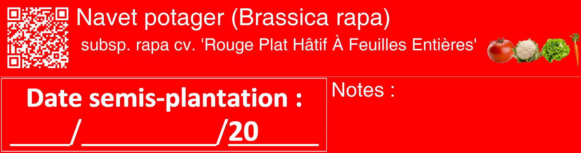 Étiquette de : Brassica rapa subsp. rapa cv. 'Rouge Plat Hâtif À Feuilles Entières' - format c - style blanche27_basique_basiquehel avec qrcode et comestibilité simplifiée
