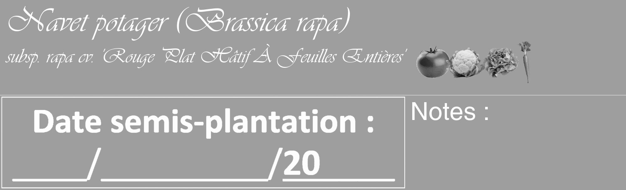 Étiquette de : Brassica rapa subsp. rapa cv. 'Rouge Plat Hâtif À Feuilles Entières' - format c - style blanche42_basique_basiqueviv avec comestibilité simplifiée