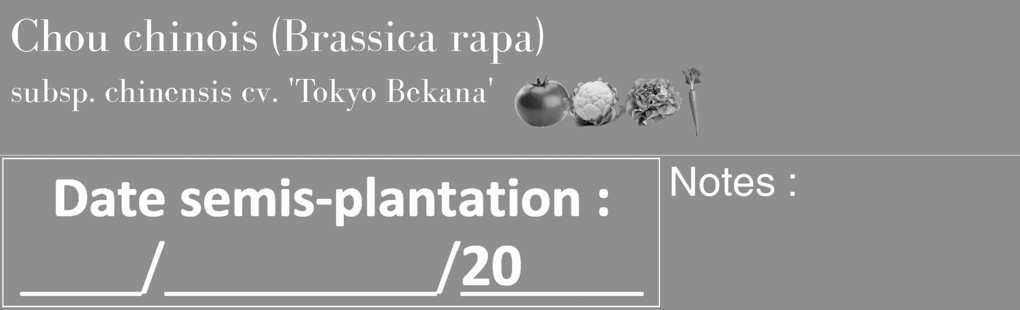 Étiquette de : Brassica rapa subsp. chinensis cv. 'Tokyo Bekana' - format c - style blanche25_basique_basiquebod avec comestibilité simplifiée